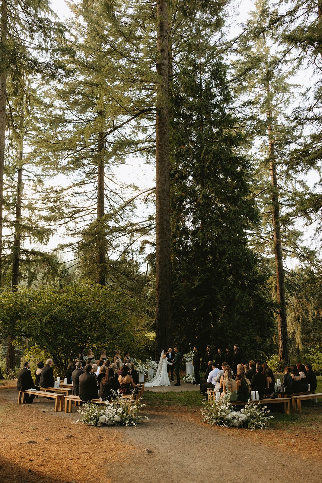 Far away shot of a forest wedding ceremony