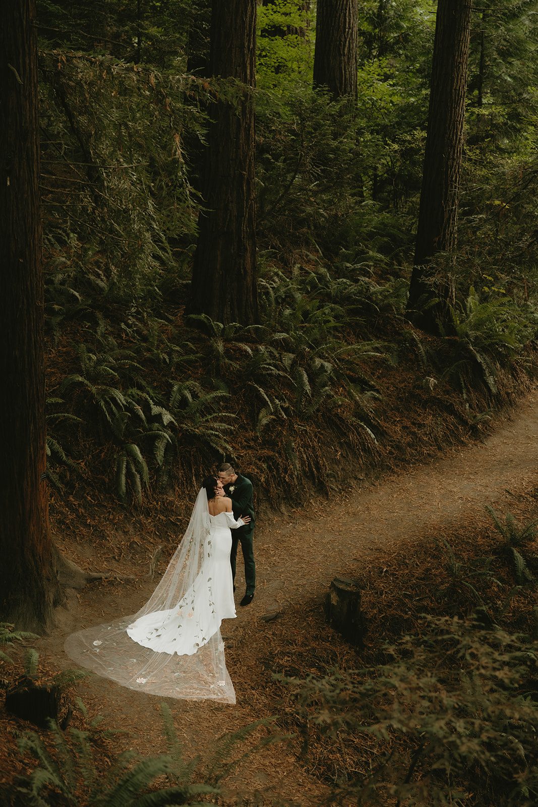 Couple embracing on a path through a redwood forest
